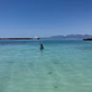 Meet your Posher, Camille